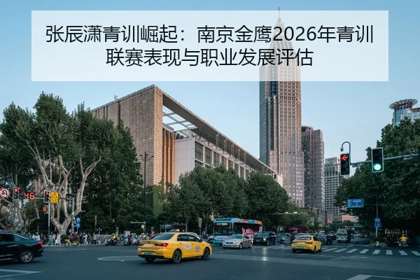 张辰潇青训崛起：南京金鹰2026年青训联赛表现与职业发展评估